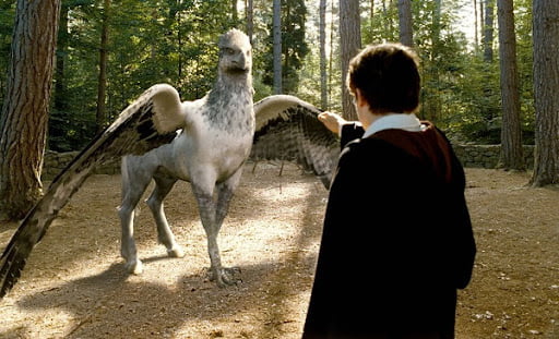 Top 10 sinh vật thú vị và kỳ bí nhất trong Harry Potter
